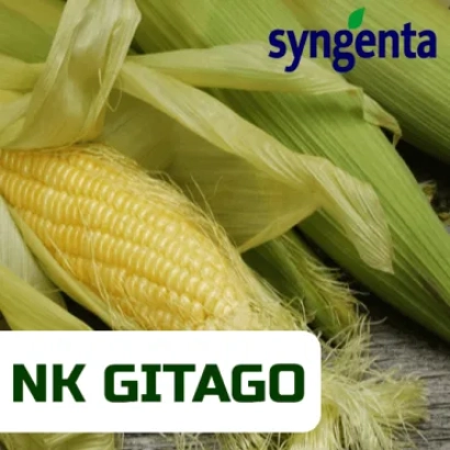 Кукуруза НК Джитаго