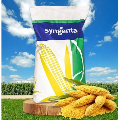 Мешок с кукурузой Syngenta на деревянном подставке на фоне поля - НК Леморо