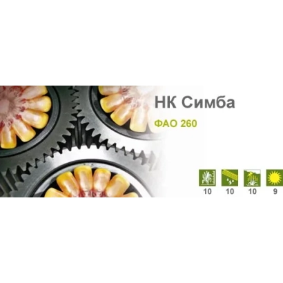 Семена кукурузы НК Симба, фас 200