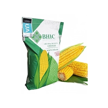 Bag of corn seeds with image of cobs - OdMa 407 SV