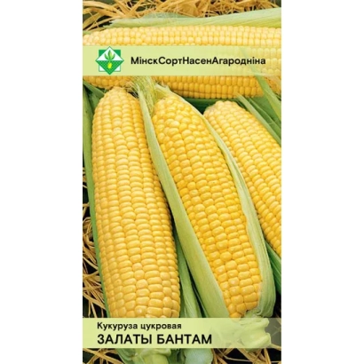Пакет насіння кукурудзи сорту Залаты Байтам - ОМ 374