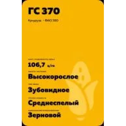 Пакет насіння кукурудзи GC 370 - ОМКА 135