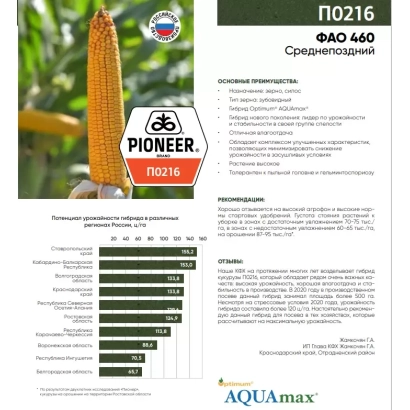 Семена кукурузы П 0216 на упаковке с информацией о сорте
