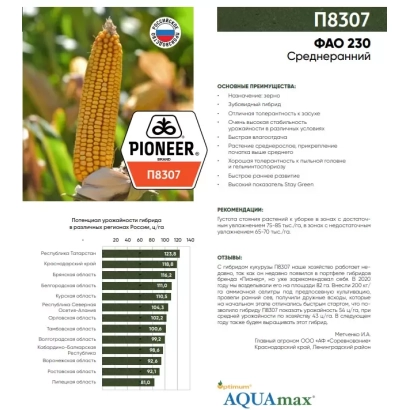 Пакет семян кукурузы П8307 от Pioneer - П 8307