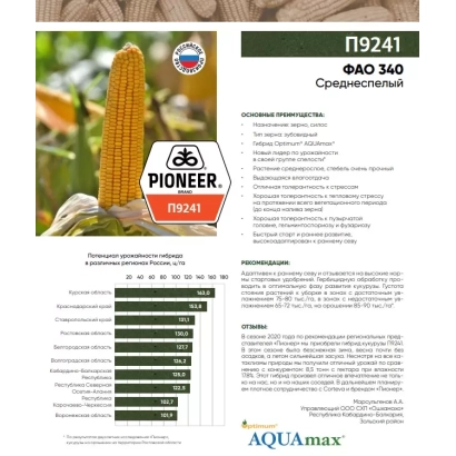 Семена кукурузы П 9241 от Pioneer