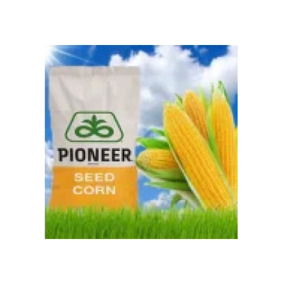 Мешок семян кукурузы Pioneer - П82000