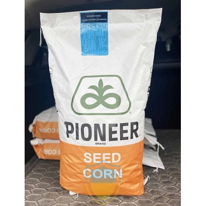Bag of Pioneer corn seeds - P8436