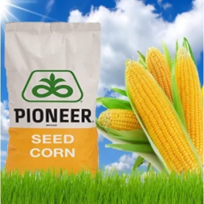 Мешок семян кукурузы Pioneer - П8567