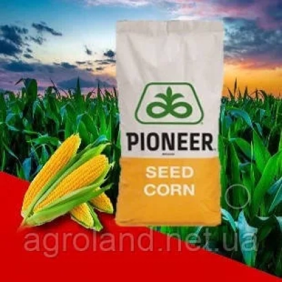 Мешок семян кукурузы Pioneer - П8902