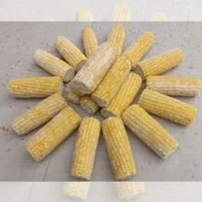 Колосья кукурузы Перекоп СВ