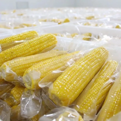 Вакуумно упакованные початки кукурузы - ПХ 12 К 5
