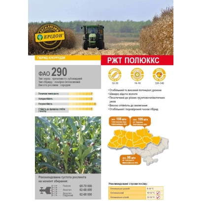 Информационная карточка гибрида кукурузы РЖТ ПОЛЮКС с фото растений и семян - Полюккс