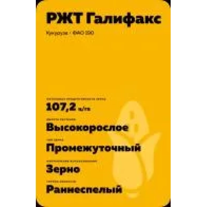 Seed bag of corn RZT Galifaks - POVOLZHIY 107 SV
