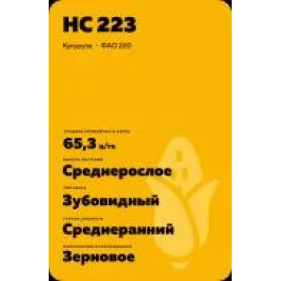 Corn seed HC 223 on yellow background - POVOLZHSKIY 187 SV