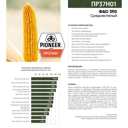 Pioneer corn seed bag PR 37 N 01