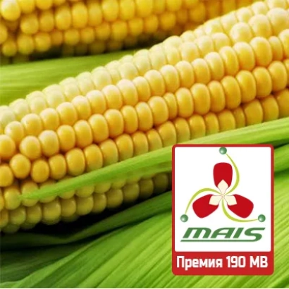 Колоски кукурудзи з логотипом MAIS та написом Премія 190 МВ