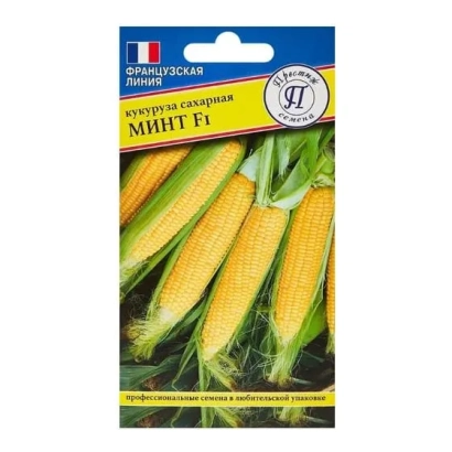 Пакет семян кукурузы МИНТ F1 - Престиж F1