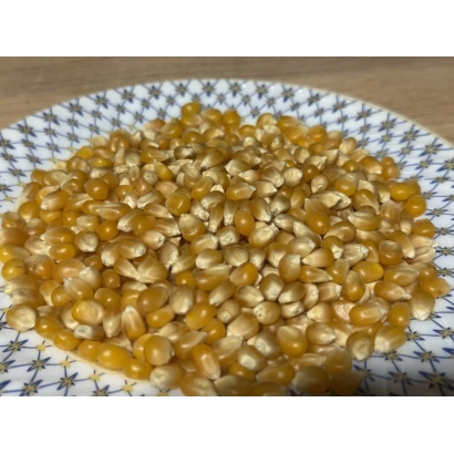 Yellow corn kernels on a patterned plate - Primorskyi