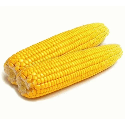 Два початка желтой кукурузы на белом фоне - Р 07096
