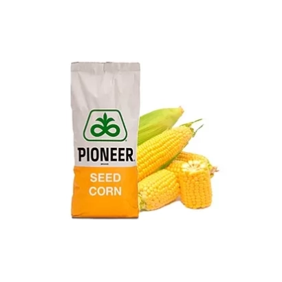 Мешок семян кукурузы Pioneer - Р8707 / П8707