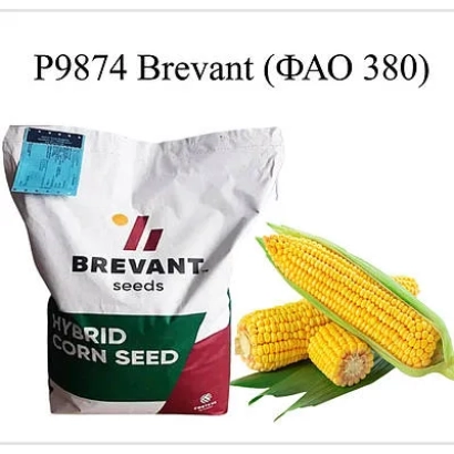 Мешок семян кукурузы P9874 Brevant от Brevant seeds - Р9874 / П9874