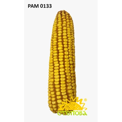 Yellow corn PAM 0133 - RAM 0133