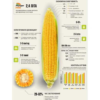 Пакет семян кукурузы РД 203 М с изображением початка и данными о питательной ценности