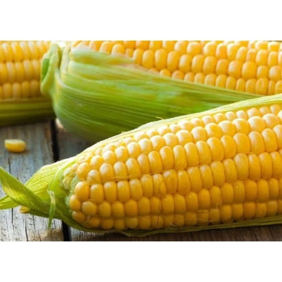 Желтая кукуруза на деревянной поверхности - Репутация СВ