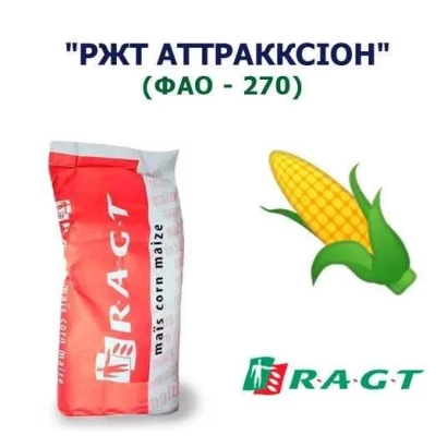 Мешок семян кукурузы РЖТ АТТРАККСИОН - РЖТ Акксиональ