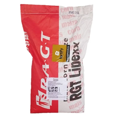 Bag of corn seeds RGT Lipexx - RGT EXXKI DUO