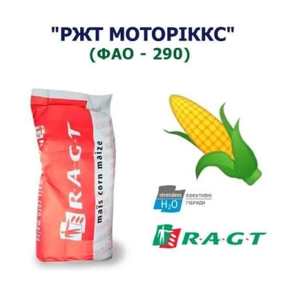 Мешок с семенами кукурузы РЖТ МОТОРИККС - РЖТ ШАРККС