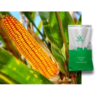 Колос кукурудзи та пакет насіння на фоні листя - РОСС 331 МВ