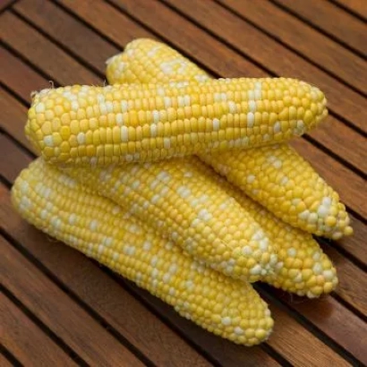 Желтые початки кукурузы на деревянной поверхности - Рулеккс