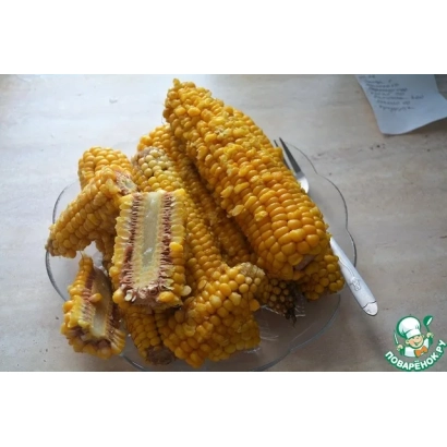 Corn on a plate - RVI 441 C