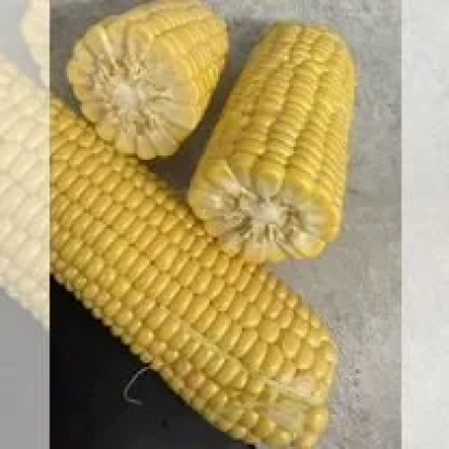 Кукуруза на сером фоне - РВЛ 178 Ц