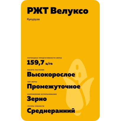 Пакет семян кукурузы РЖТ Велуко - РЖТ БОКСЕР