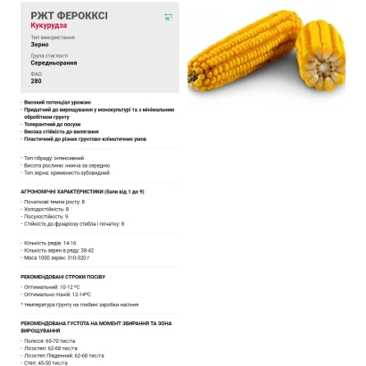 Колос кукурузы с этикеткой РЖТ ФЕРОКСИ