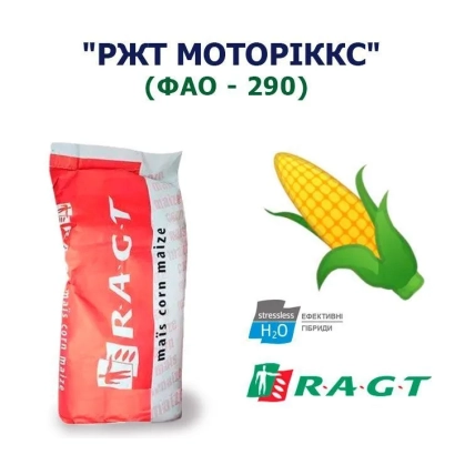 Мешок с семенами кукурузы РЖТ МОТОРИККС (ФАО - 290) - РЖТ ГУКСО