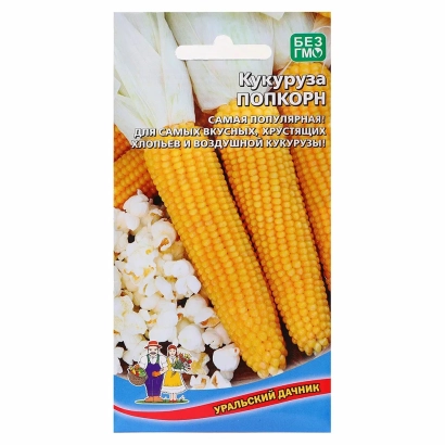 Пакет семян кукурузы С 4277 с изображением початков и попкорна