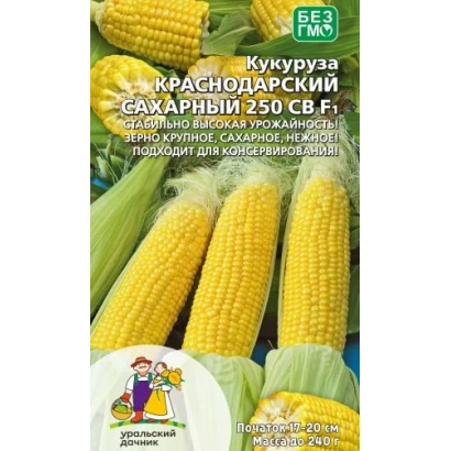 Колоски кукурузы Краснодарский сахарный 250 СВ на упаковке - С 64423-3 Х С 74002
