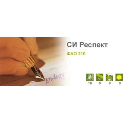 Документ с надписью СИ Респект и изображением руки, пишущей на бумаге