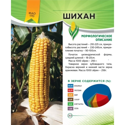 Семенной пакет кукурузы Шихан с фото початка и описанием сорта