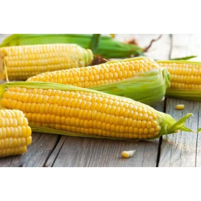 Свіжа кукурудза Солітаро на дерев'яній поверхні