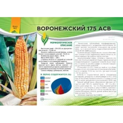 Пакет насіння кукурудзи Вороніжський 175 АСВ - СТК 175