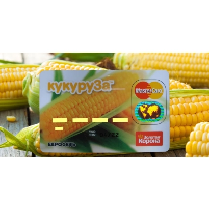 Пакет семян кукурузы с изображением початков - Сум 9402