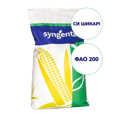 Мешок с семенами кукурузы Syngenta, сорт СИ ШИКАРІ - СИ ФАНТАЗИЯ