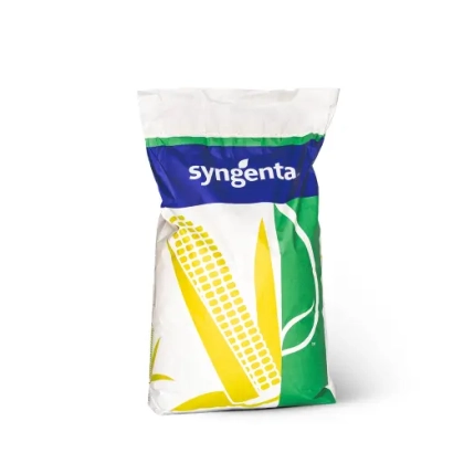 Syngenta corn seed bag - SY TALISMAN