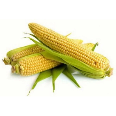 Свежая кукуруза в шелухе - Терсеро