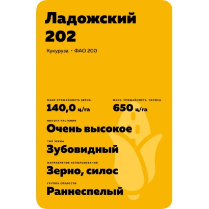 Пакет насіння кукурудзи Ладожський 202 - ТК 202