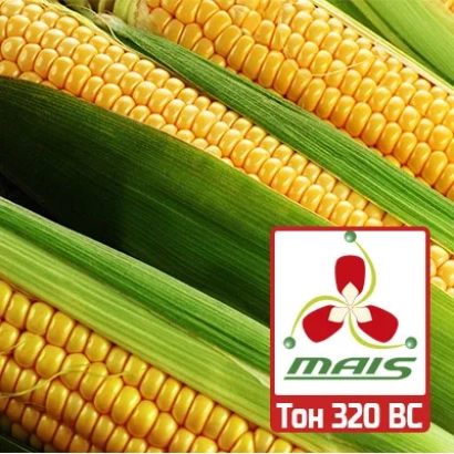 Колос кукурузы с логотипом MAIS и надписью ТОН 320 ВС
